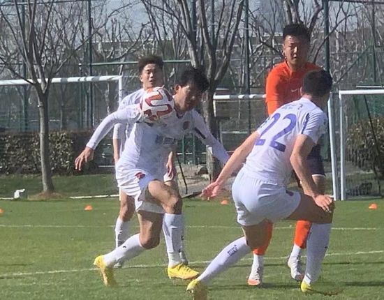 红杏av首页进入