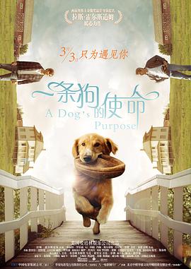 追命女郎