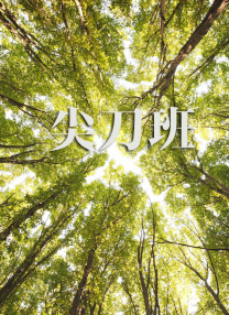日本一区二区中文字幕