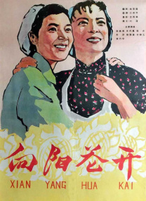 国产一区二区亚洲精品