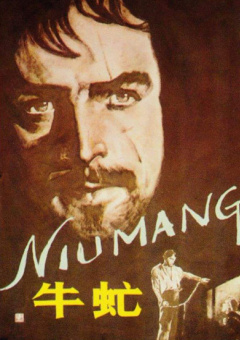 久久久国产99久久国产一