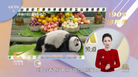 在线免费午夜视频